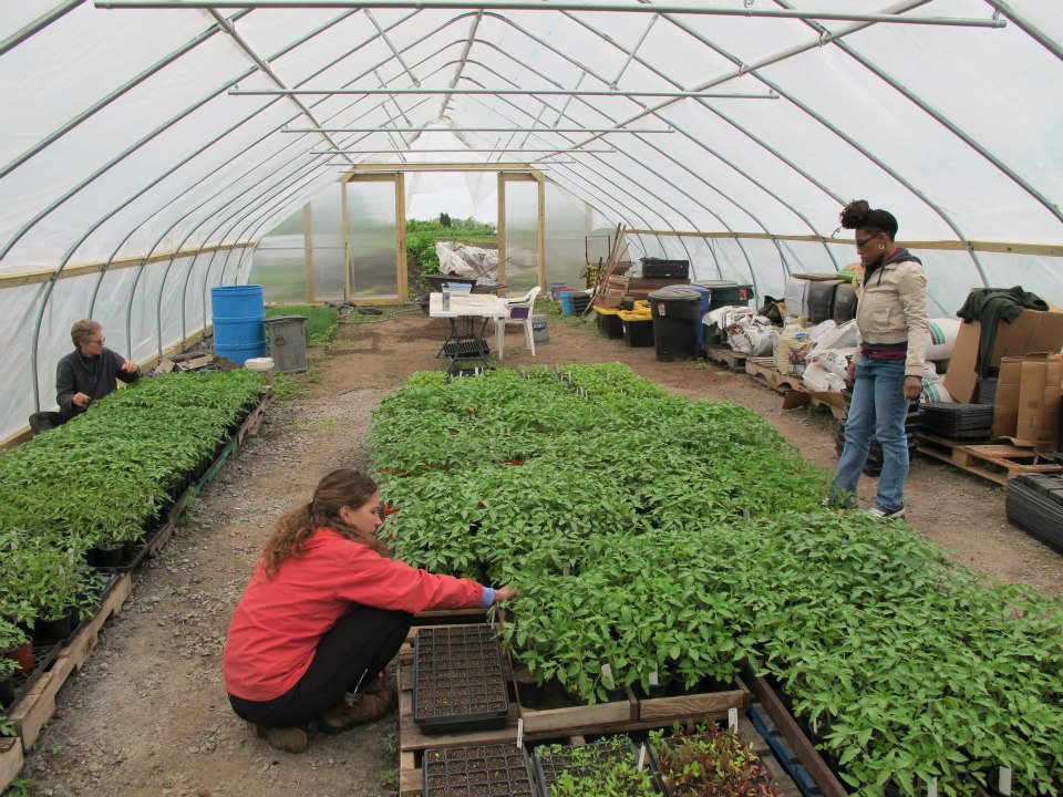 AmeriCorps VISTAs