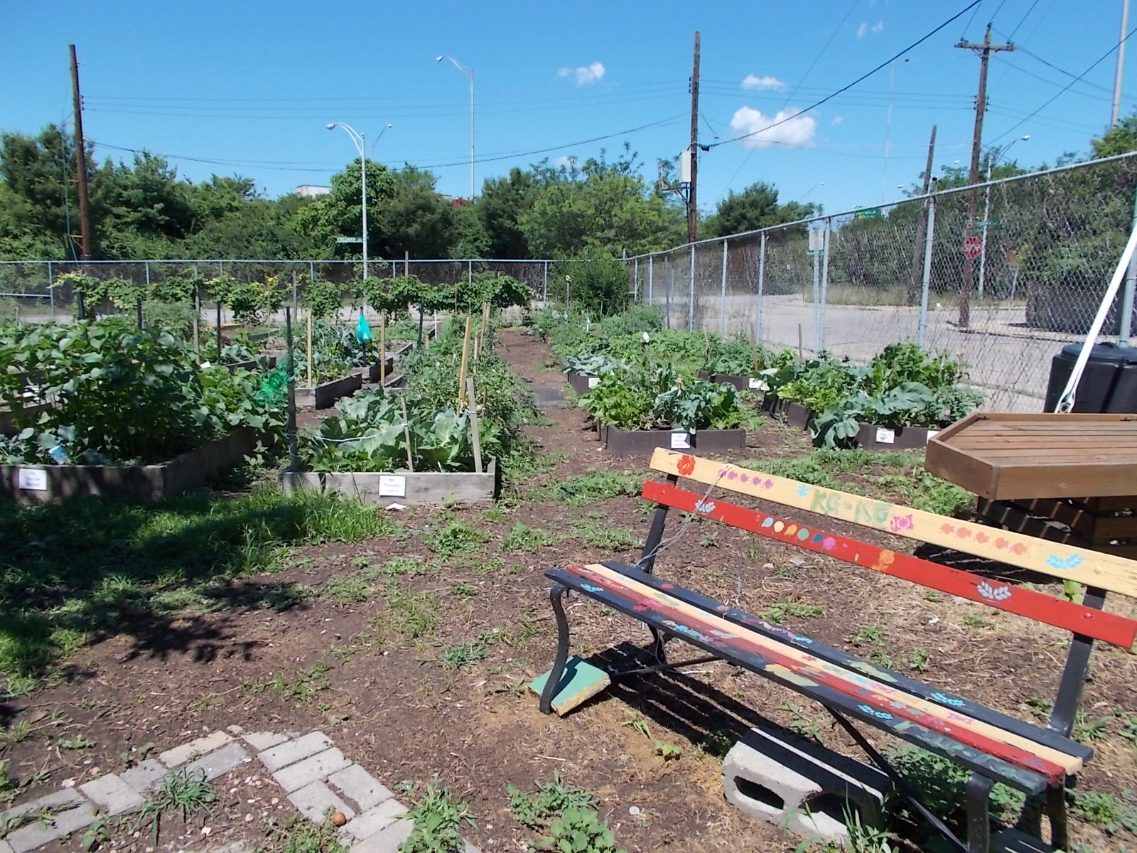 West End Community Garden in Cincinnati, Ohio