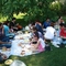 Members of the Iranian Presbyterian Church community enjoying a holiday with a picnic on the church grounds