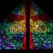 The Trinity window at my home church, St. Philip Presbyterian, in Hurst, TX is like God is sitting there watching, waiting and spreading His blessings on all that enter and worship there