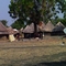 Akobo - typical toukals - most people live in houses like this scattered throughout the village and along the river