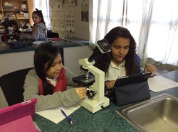 Menaul 6th grade students use new digital microscopes that send images to their iPads.