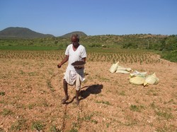 Farmer sowing seeds